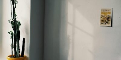pexels-inga-sv-4875530 pexels-inga-sv-4875530